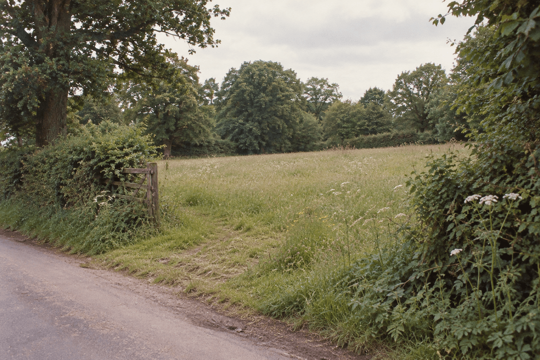 Planning permission granted